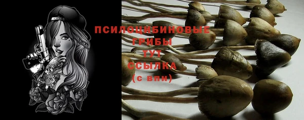 марки lsd Новодвинск