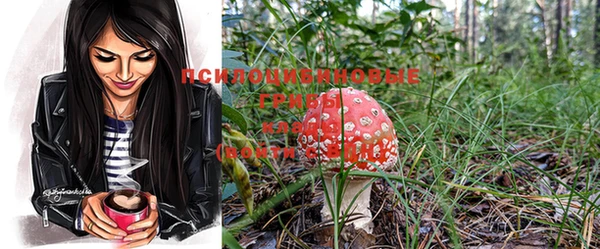 герыч Новозыбков