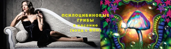 марки lsd Новодвинск