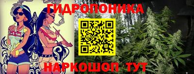 гидропоника Кингисепп