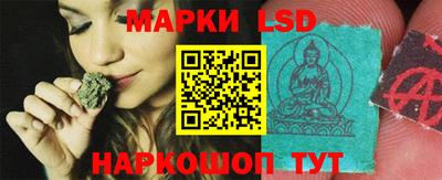 гидропоника Кингисепп