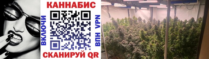 купить Кострома Канабис марихуана